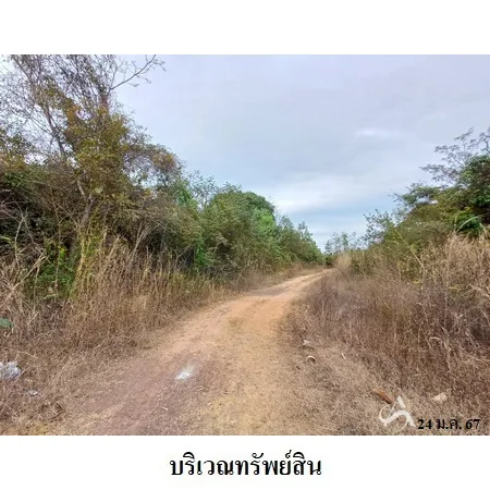 ที่ดินเปล่า เมือง หนองคาย 4-3-15.1ไร่ - 8