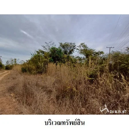 ที่ดินเปล่า เมือง หนองคาย 4-3-15.1ไร่ - 9