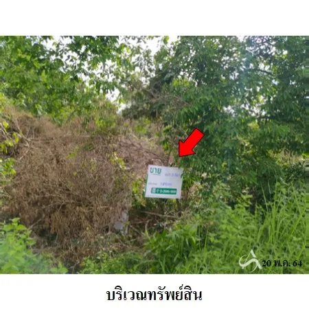 ที่ดินเปล่า หาดใหญ่ สงขลา 1-3-39.4ไร่ - 3