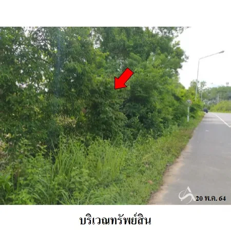 ที่ดินเปล่า หาดใหญ่ สงขลา 1-3-39.4ไร่ - 4