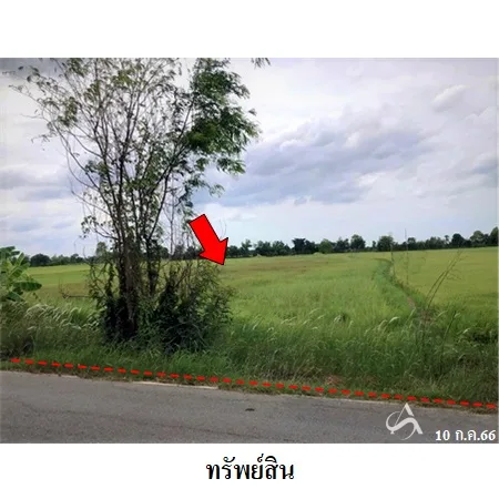 ที่ดินเปล่า เฉลิมพระเกียรติ นครราชสีมา 8-3-72ไร่ - 7