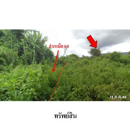 ที่ดินเปล่า บ้านโฮ่ง ลำพูน 2-3-8.6ไร่ - 11