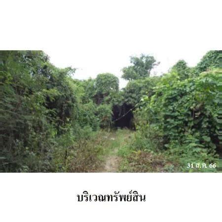 ที่ดินเปล่า บ้านโฮ่ง ลำพูน 2-3-8.6ไร่ - 9