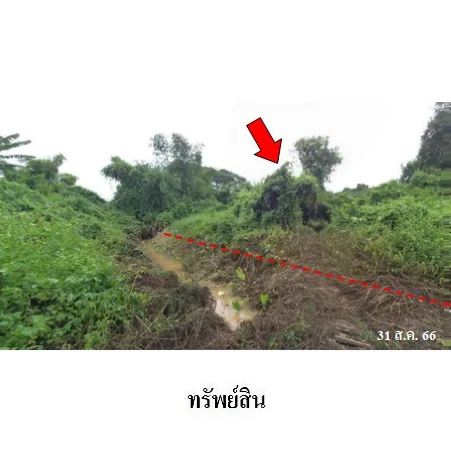 ที่ดินเปล่า บ้านโฮ่ง ลำพูน 2-3-8.6ไร่ - 10