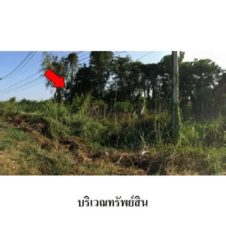 ที่ดินเปล่า คีรีมาศ สุโขทัย 4-3-42ไร่ - 3