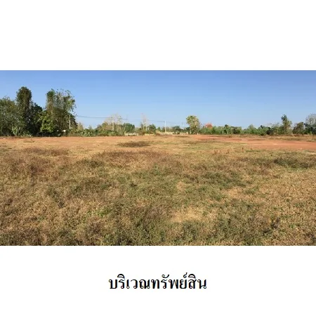 ที่ดินเปล่า คีรีมาศ สุโขทัย 4-3-42ไร่ - 12