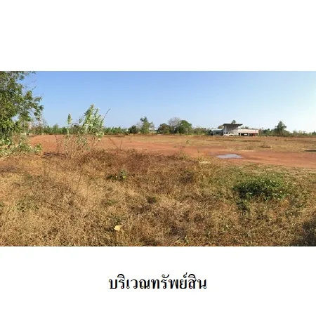 ที่ดินเปล่า คีรีมาศ สุโขทัย 4-3-42ไร่ - 13