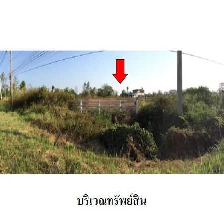 ที่ดินเปล่า คีรีมาศ สุโขทัย 4-3-42ไร่ - 4