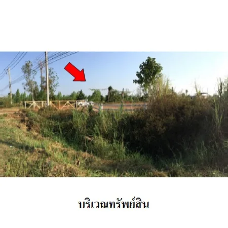 ที่ดินเปล่า คีรีมาศ สุโขทัย 4-3-42ไร่ - 5