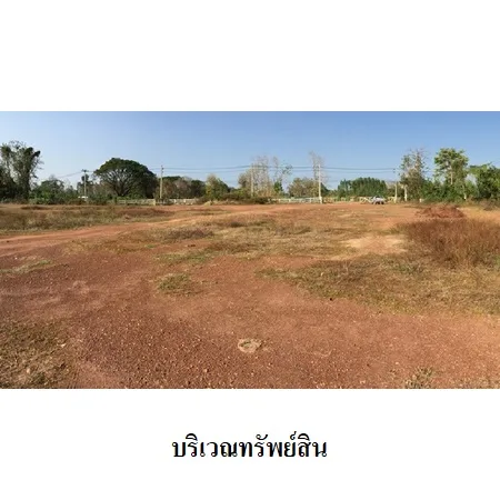 ที่ดินเปล่า คีรีมาศ สุโขทัย 4-3-42ไร่ - 9