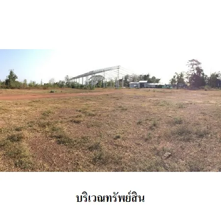 ที่ดินเปล่า คีรีมาศ สุโขทัย 4-3-42ไร่ - 11