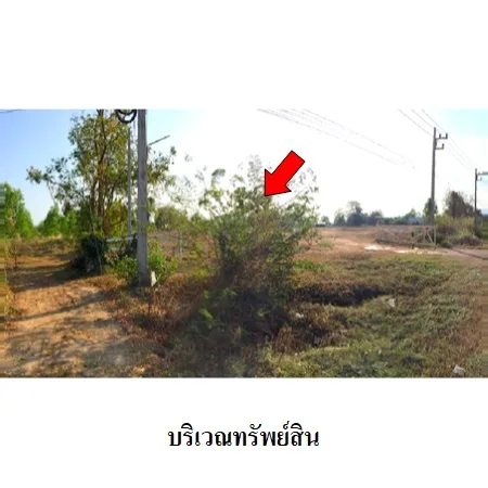 ที่ดินเปล่า คีรีมาศ สุโขทัย 4-3-42ไร่
