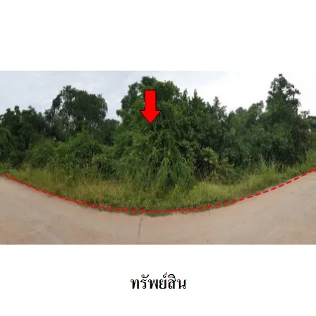 ที่ดินเปล่า โนนสูง นครราชสีมา 6-3-21ไร่ - 3