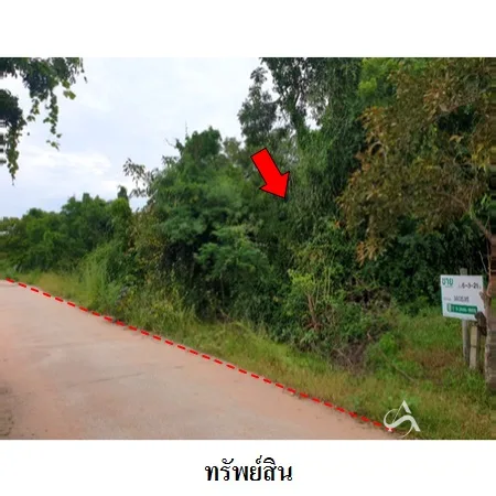 ที่ดินเปล่า โนนสูง นครราชสีมา 6-3-21ไร่