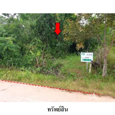 ที่ดินเปล่า โนนสูง นครราชสีมา 6-3-21ไร่ - 4