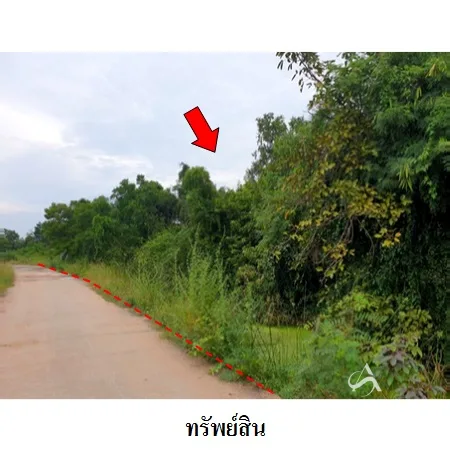 ที่ดินเปล่า โนนสูง นครราชสีมา 6-3-21ไร่ - 5