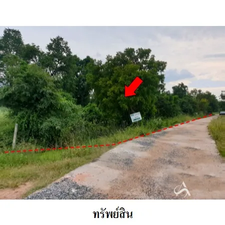 ที่ดินเปล่า โนนสูง นครราชสีมา 6-3-21ไร่ - 6