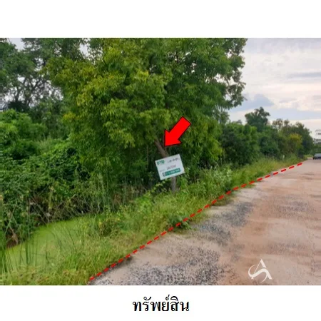 ที่ดินเปล่า โนนสูง นครราชสีมา 6-3-21ไร่ - 7