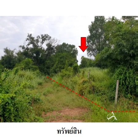 ที่ดินเปล่า โนนสูง นครราชสีมา 6-3-21ไร่ - 9