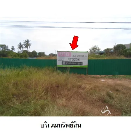 ที่ดินเปล่า บางระจัน สิงห์บุรี 2-0-48ไร่ - 3