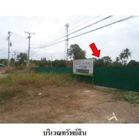 ที่ดินเปล่า บางระจัน สิงห์บุรี 2-0-48ไร่ - 4