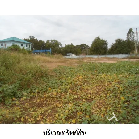 ที่ดินเปล่า บางระจัน สิงห์บุรี 2-0-48ไร่ - 5