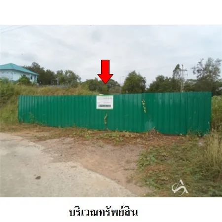 ที่ดินเปล่า บางระจัน สิงห์บุรี 2-0-48ไร่ - 6