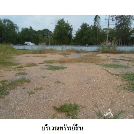 ที่ดินเปล่า บางระจัน สิงห์บุรี 2-0-48ไร่ - 7