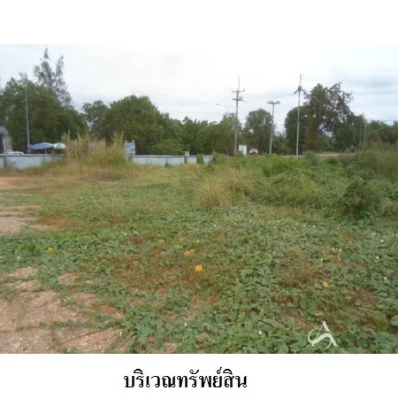 ที่ดินเปล่า บางระจัน สิงห์บุรี 2-0-48ไร่ - 8