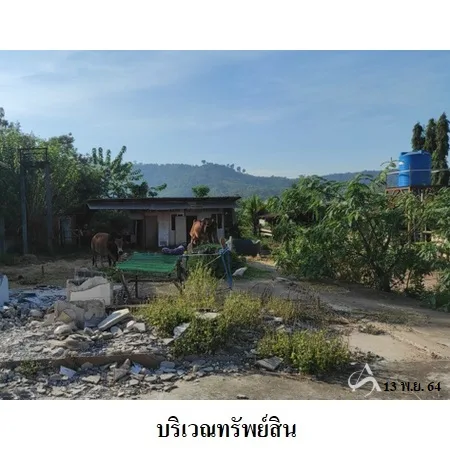 ที่ดินเปล่า ภูเรือ เลย 0-2-0ไร่ - 5