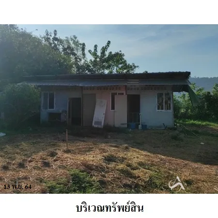 ที่ดินเปล่า ภูเรือ เลย 0-2-0ไร่ - 7