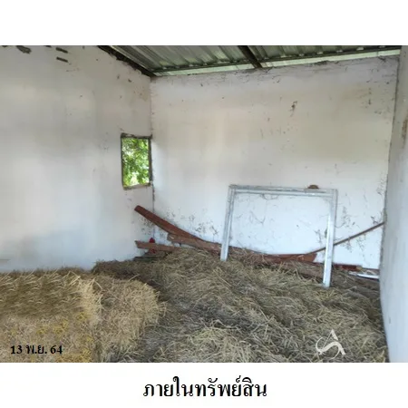 ที่ดินเปล่า ภูเรือ เลย 0-2-0ไร่ - 8