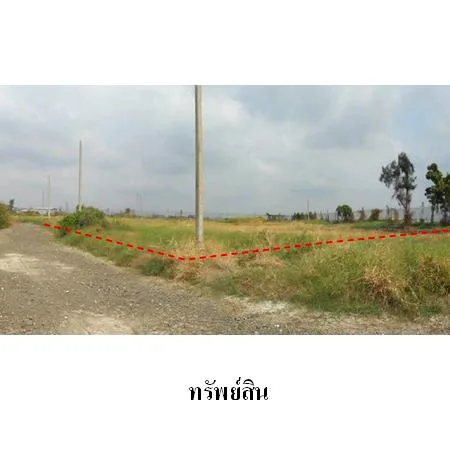 ที่ดินเปล่า บางบ่อ สมุทรปราการ 1-0-48.3ไร่ - 6