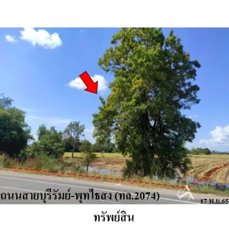 ที่ดินเปล่า พุทไธสง บุรีรัมย์ 3-1-23ไร่