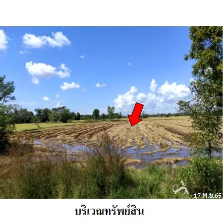 ที่ดินเปล่า พุทไธสง บุรีรัมย์ 3-1-23ไร่ - 4