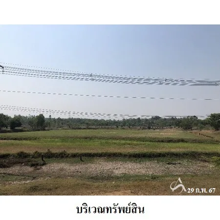 ที่ดินเปล่า ท่าตูม สุรินทร์ 11-1-30ไร่ - 2