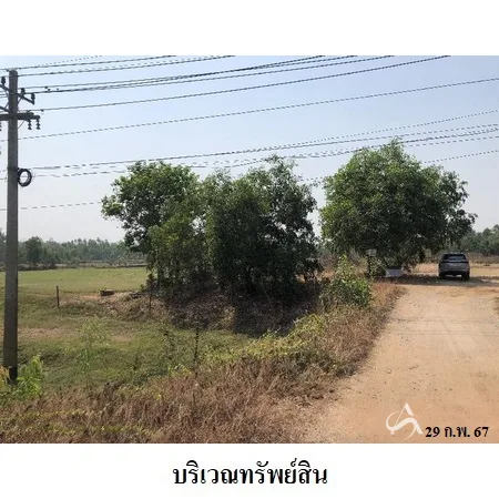ที่ดินเปล่า ท่าตูม สุรินทร์ 11-1-30ไร่ - 3