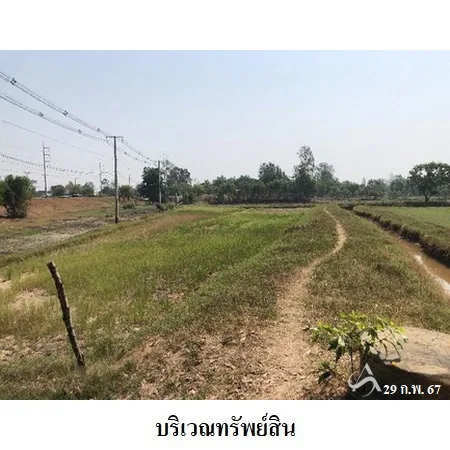 ที่ดินเปล่า ท่าตูม สุรินทร์ 11-1-30ไร่ - 4