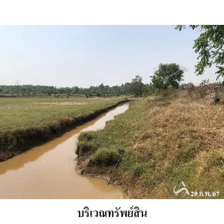 ที่ดินเปล่า ท่าตูม สุรินทร์ 11-1-30ไร่ - 5