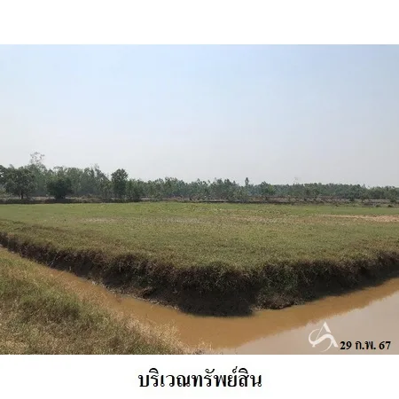 ที่ดินเปล่า ท่าตูม สุรินทร์ 11-1-30ไร่ - 6