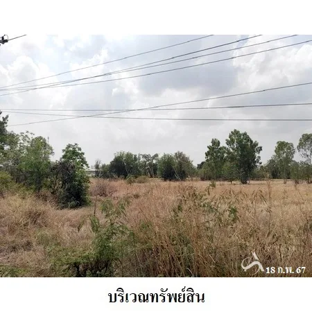 ที่ดินเปล่า สีคิ้ว นครราชสีมา 4-0-0ไร่ - 2