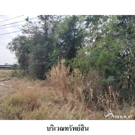 ที่ดินเปล่า สีคิ้ว นครราชสีมา 4-0-0ไร่ - 3