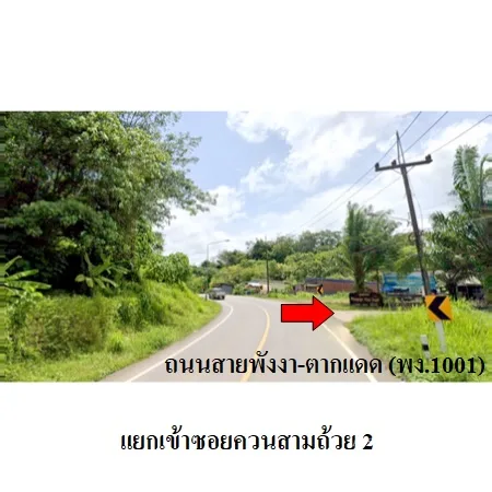ที่ดินเปล่า เมือง พังงา 0-3-95.1ไร่ - 3