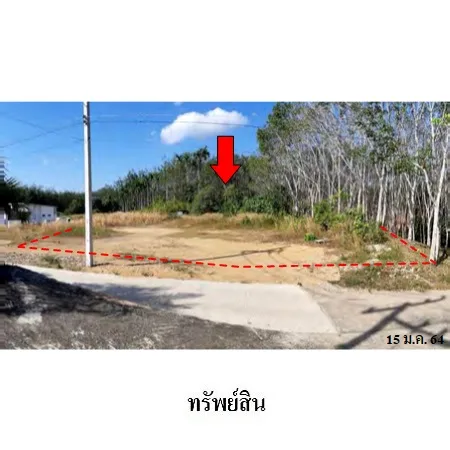 ที่ดินเปล่า เมือง พังงา 0-3-95.1ไร่