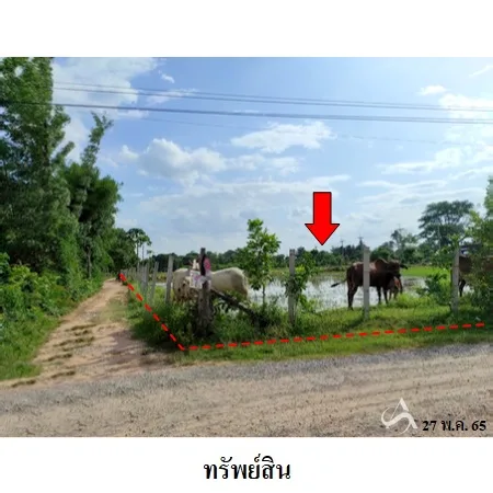 ที่ดินเปล่า แวงน้อย ขอนแก่น 14-1-50ไร่ - 7