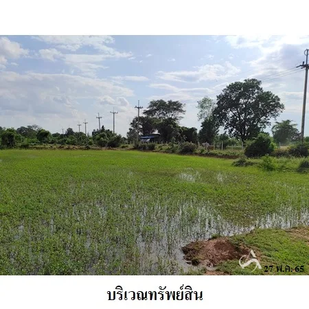 ที่ดินเปล่า แวงน้อย ขอนแก่น 14-1-50ไร่ - 8