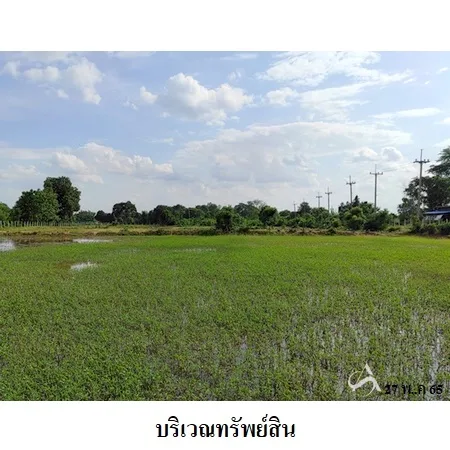 ที่ดินเปล่า แวงน้อย ขอนแก่น 14-1-50ไร่ - 9