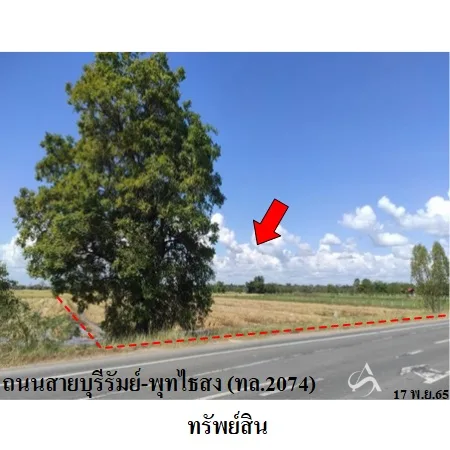 ที่ดินเปล่า พุทไธสง บุรีรัมย์ 2-2-54ไร่ - 2