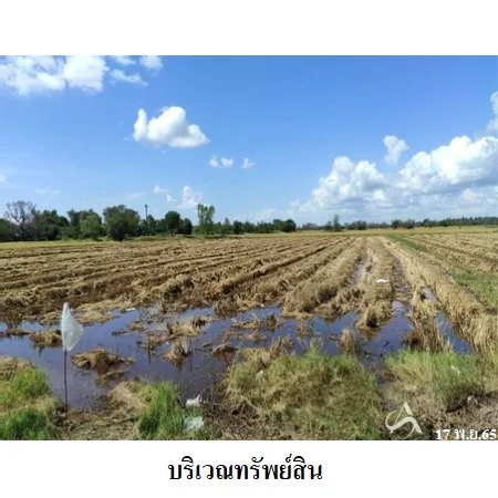 ที่ดินเปล่า พุทไธสง บุรีรัมย์ 2-2-54ไร่ - 6