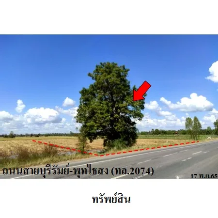 ที่ดินเปล่า พุทไธสง บุรีรัมย์ 2-2-54ไร่
